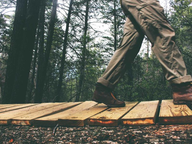 community screenshot 6