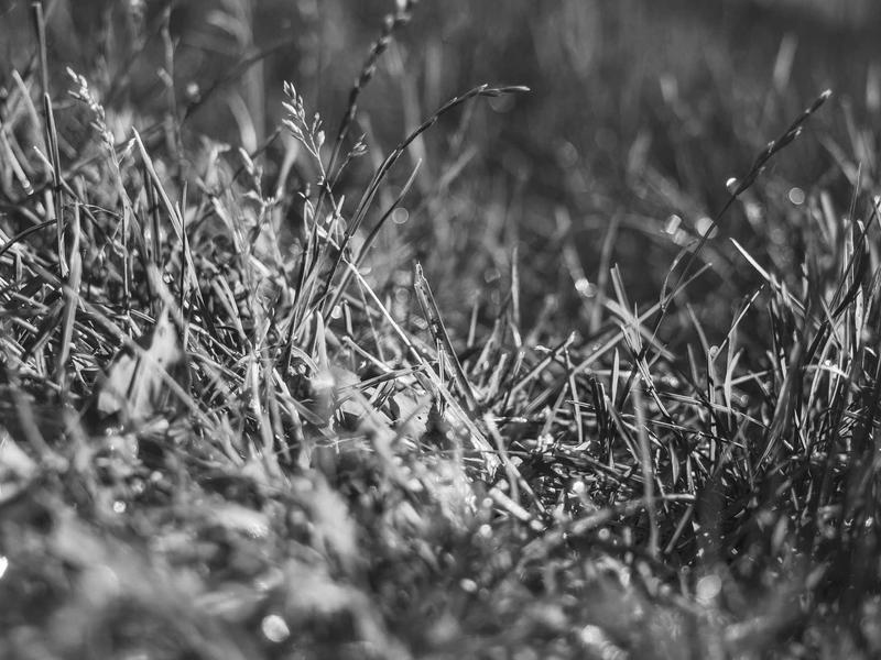 sudoku error checking screenshot 6