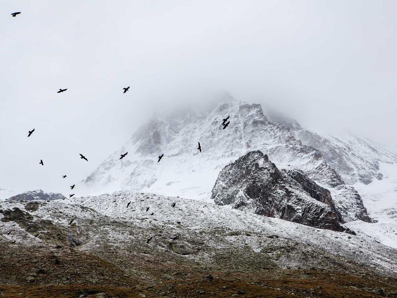 sudoku achievement badge screenshot 1